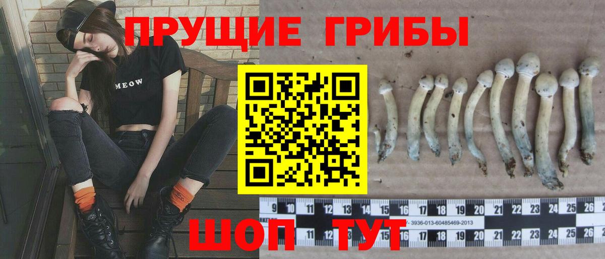хочу   Галлюциногенные грибы MAGIC MUSHROOMS  Вход с VPN  Нижнеудинск 