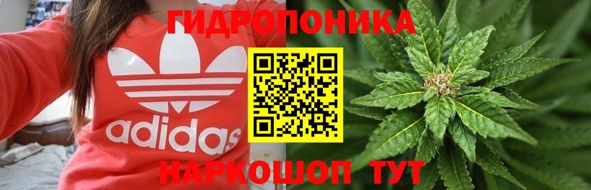 Марихуана индика  Каннабис THC 21%  Нижнеудинск  Бошки марихуана Amnesia  Марихуана марихуана  Вход с VPN 
